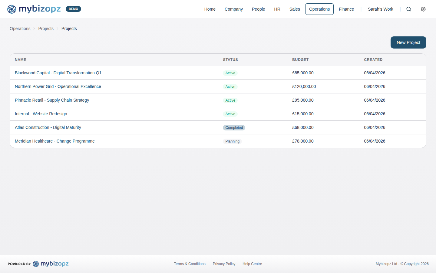 Project list with status and budget tracking
